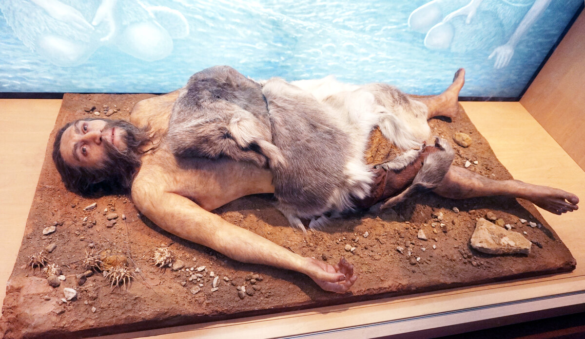 Homo neanderthalensis reconstruction