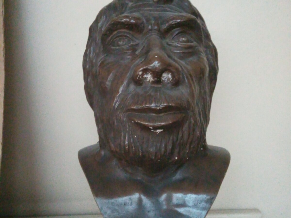 Reconstitution d'un Homme de Néandertal