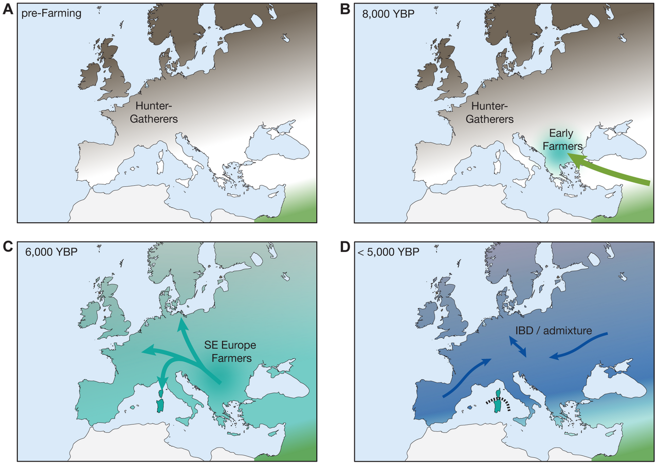 Carte de la diffusion du Néolithique en Europe depuis l'Anatolie