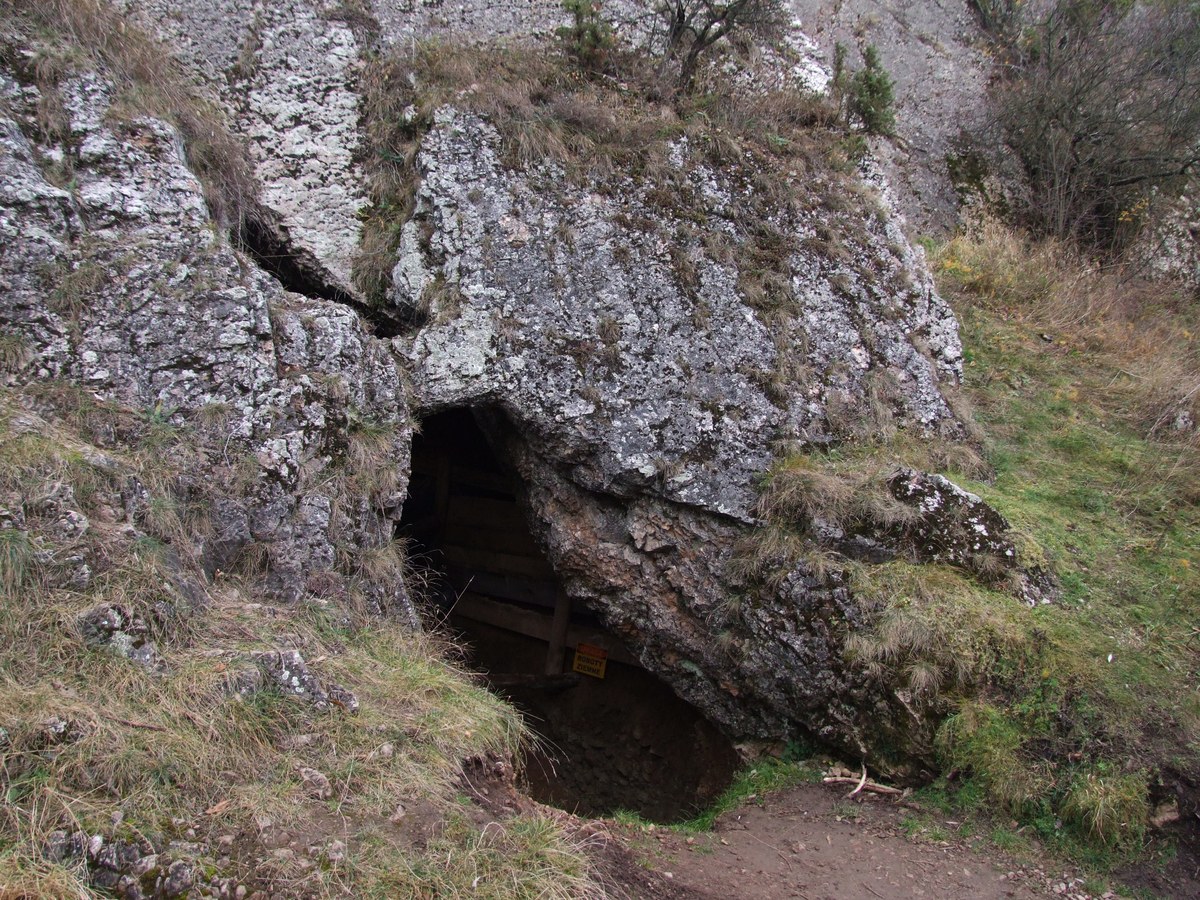 Entree de la grotte d'Oblazowa, site du Paleolithique superieur dans les Tatras polonais