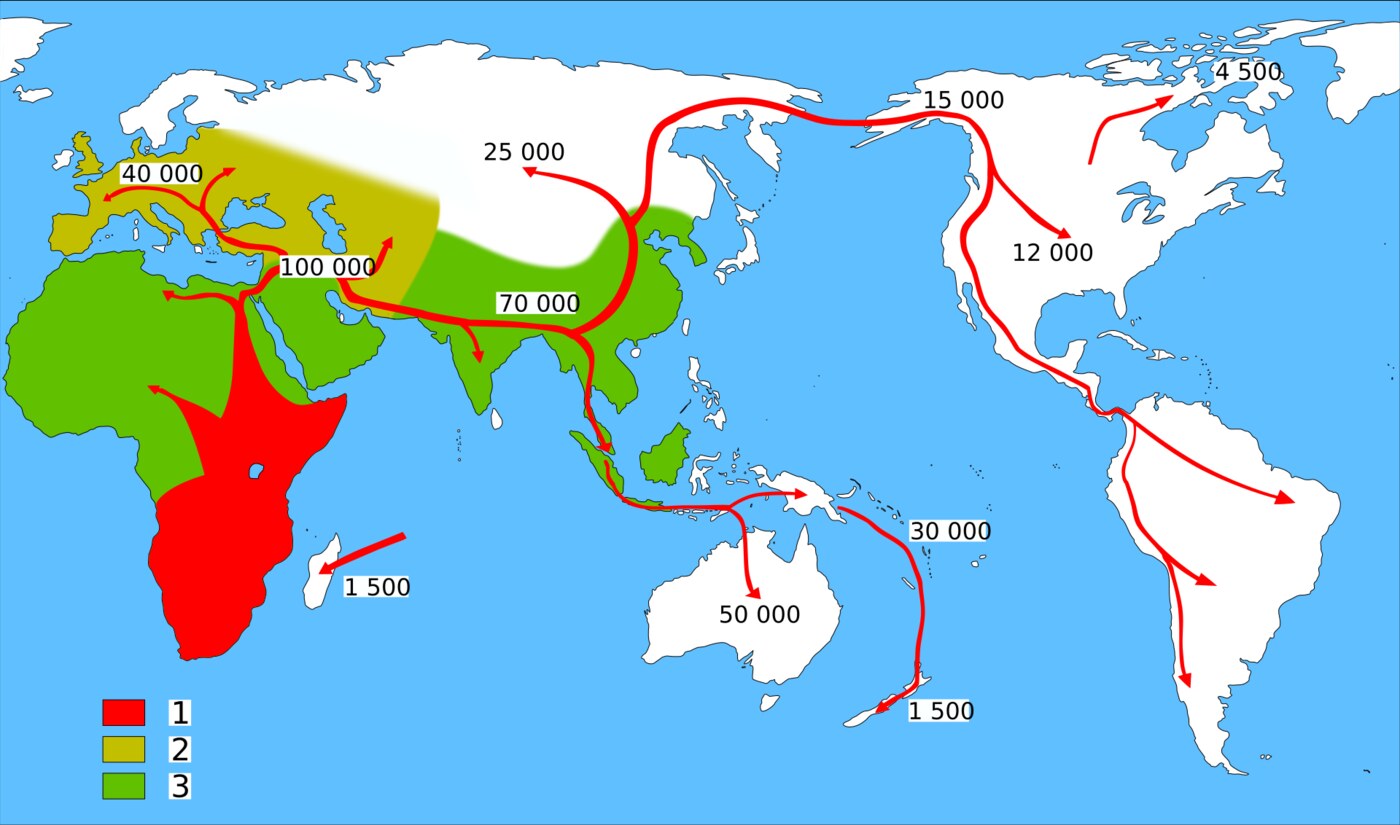 Carte schématique des premières migrations humaines hors d'Afrique