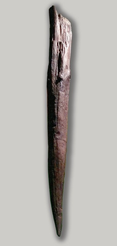 The Clacton Spear, the oldest known worked wooden point, approximately 400,000 years old, discovered in England