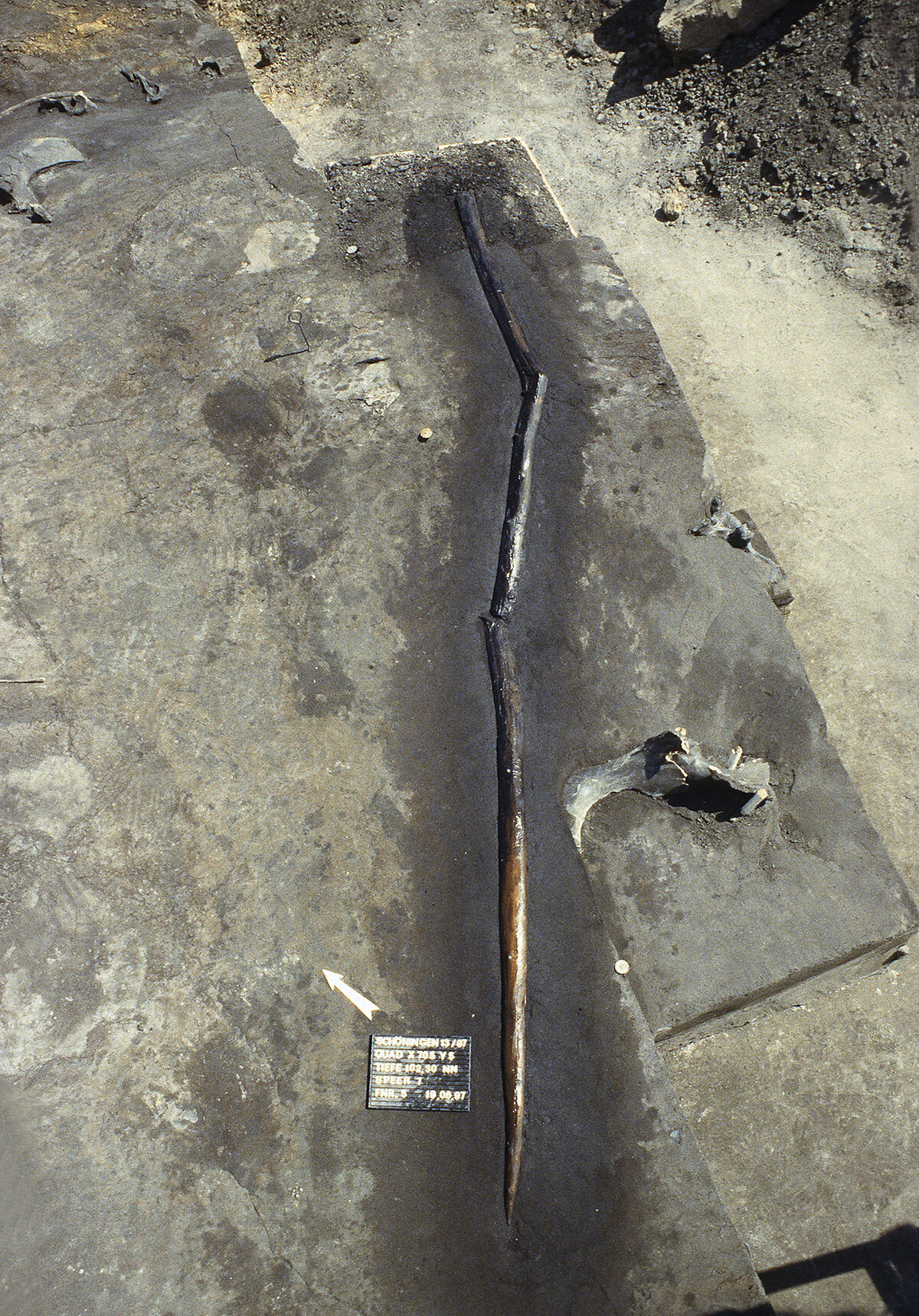 Lance de jet en bois du site de Schöningen exposée en musée