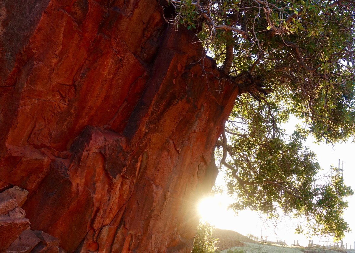 Petroglyphes de Murujuga face aux installations industrielles de Dampier, Australie-Occidentale