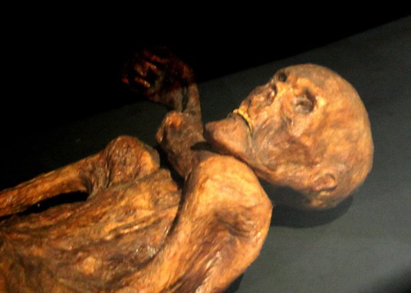 Facial reconstruction of Cheddar Man with dark skin