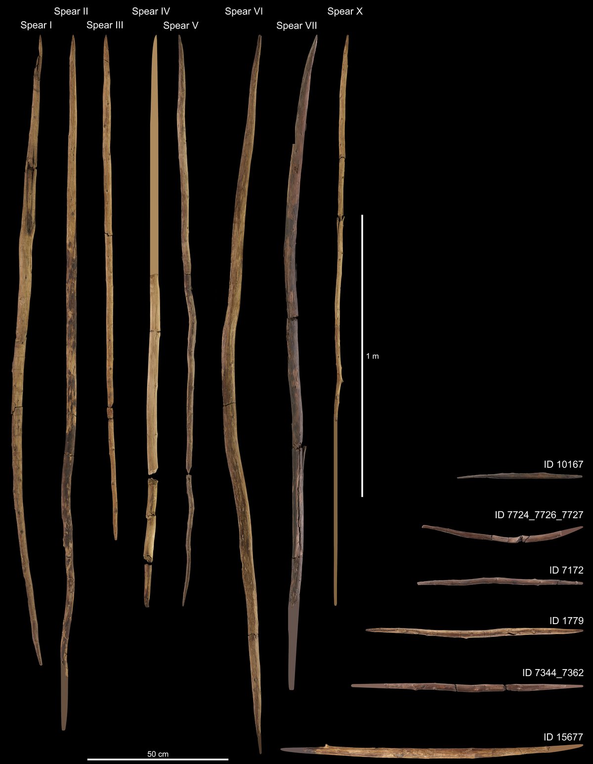 Wooden artefacts from Schöningen, Lower Palaeolithic, Lower Saxony, Germany