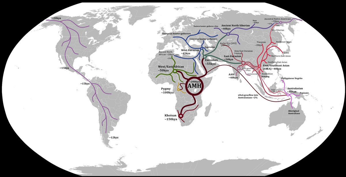 Map of Homo sapiens migration routes out of Africa during the Upper Pleistocene