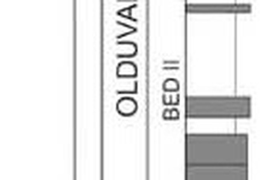 Generalised stratigraphy of Olduvai Gorge