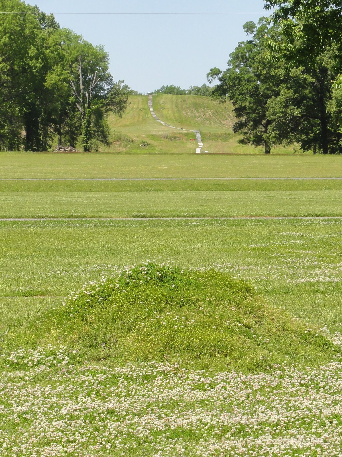 Vue des différentes buttes du site de Poverty Point en Louisiane