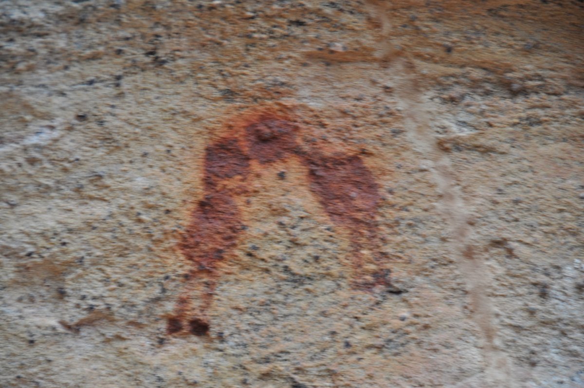 Rock paintings of Serra da Capivara, Piaui, Brazil - prehistoric hunting scene