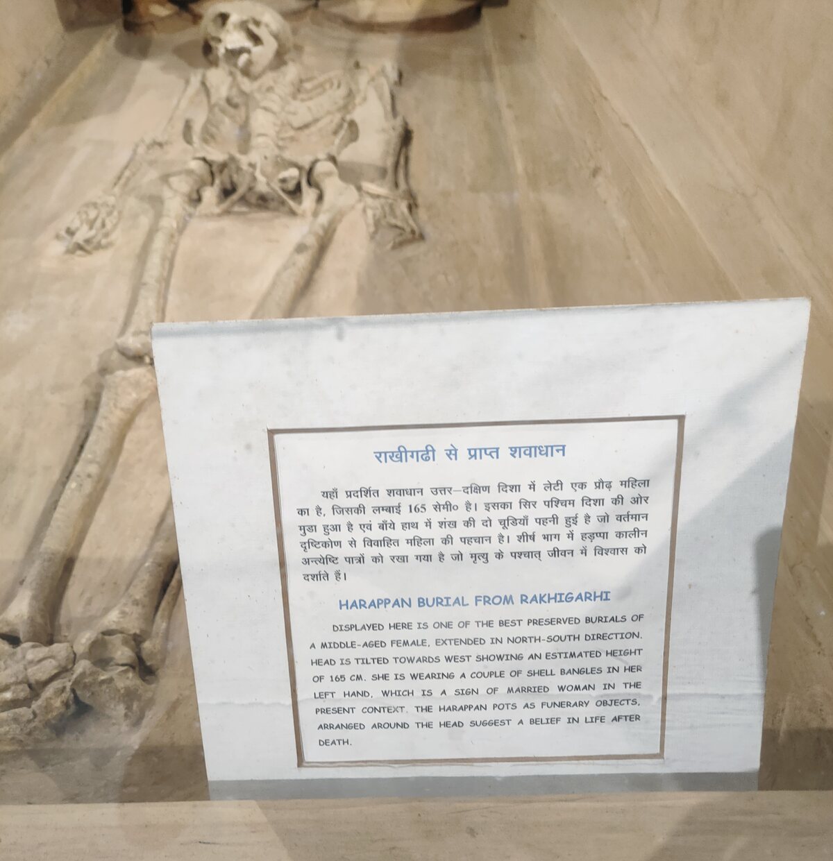 Squelette d'une femme harappéenne mis au jour à Rakhigarhi