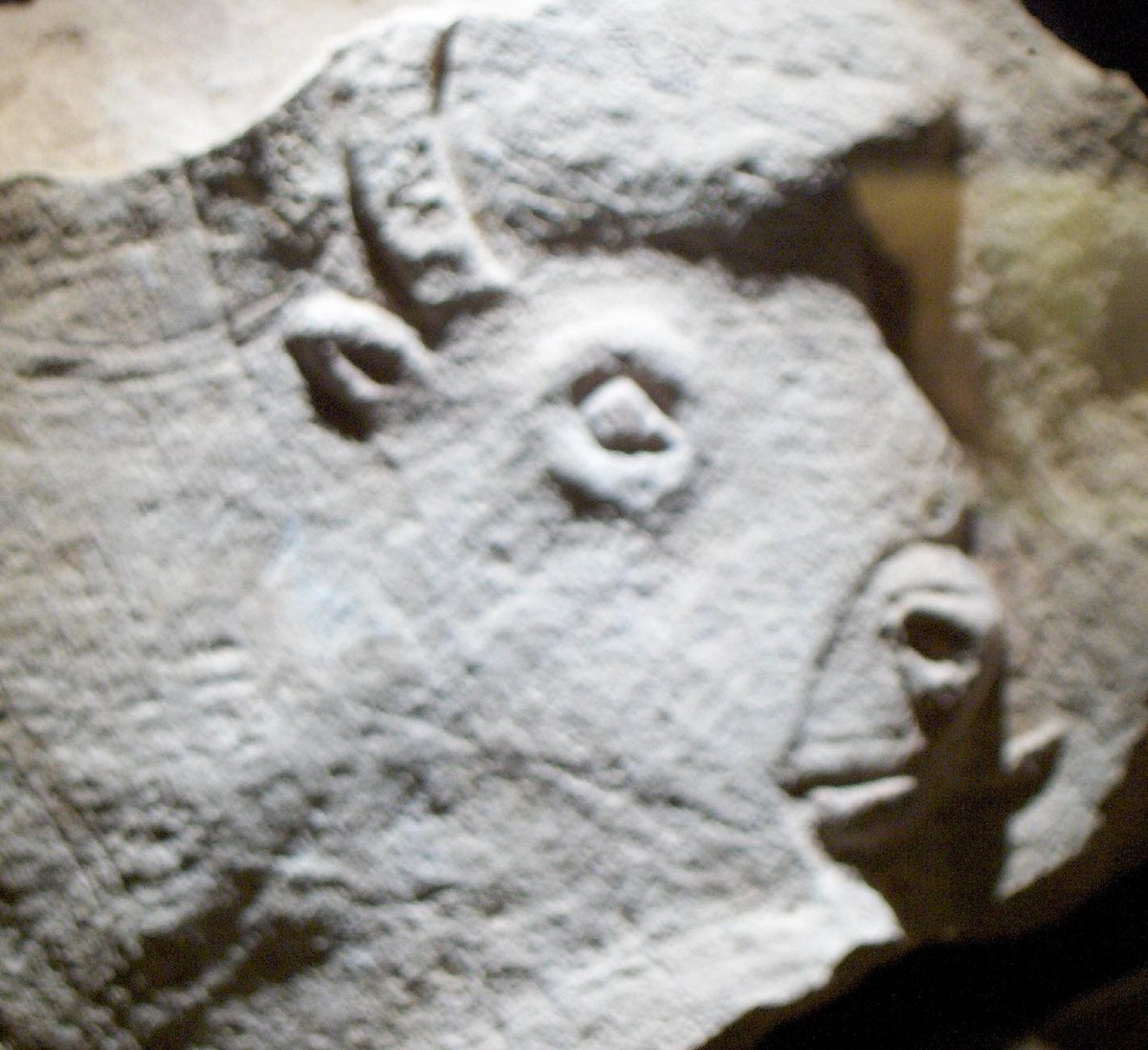 Bovidé sculpté au Roc-aux-Sorciers, Angles-sur-l'Anglin