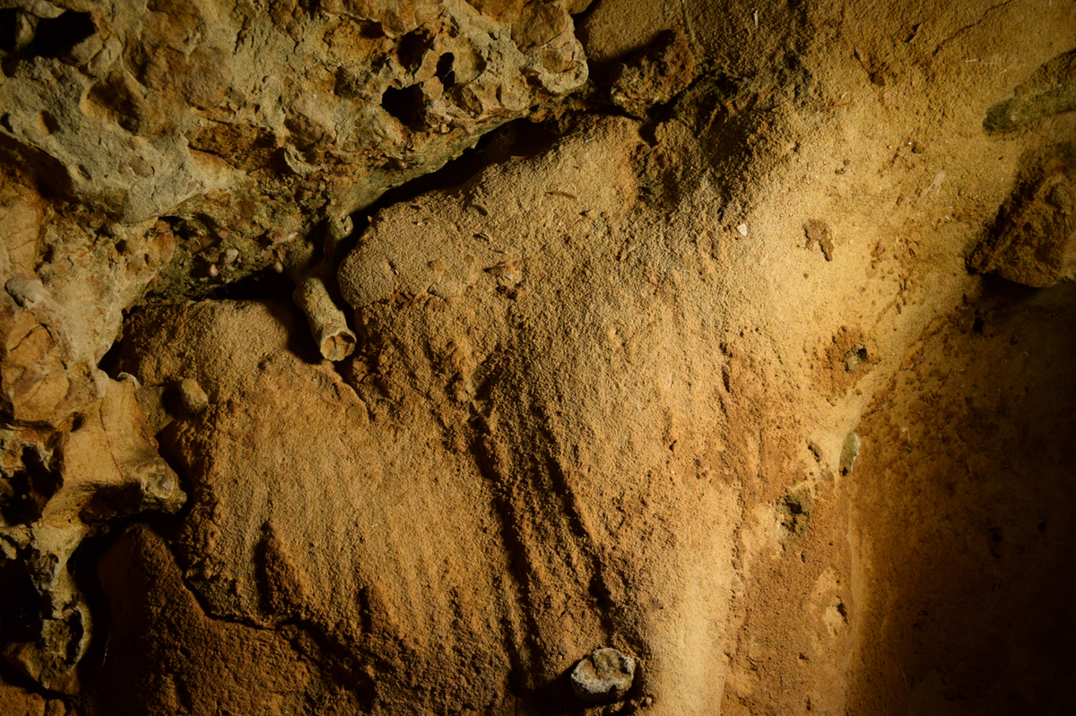 Finger-flutings engraved on the wall of La Roche-Cotard cave