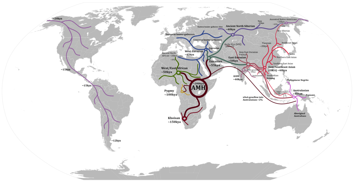 Carte des routes de dispersion d'Homo sapiens hors d'Afrique