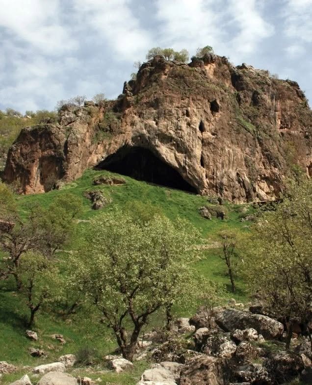 Crane de Shanidar Z, Neandertalienne, grotte de Shanidar, Kurdistan irakien, ~75 000 ans