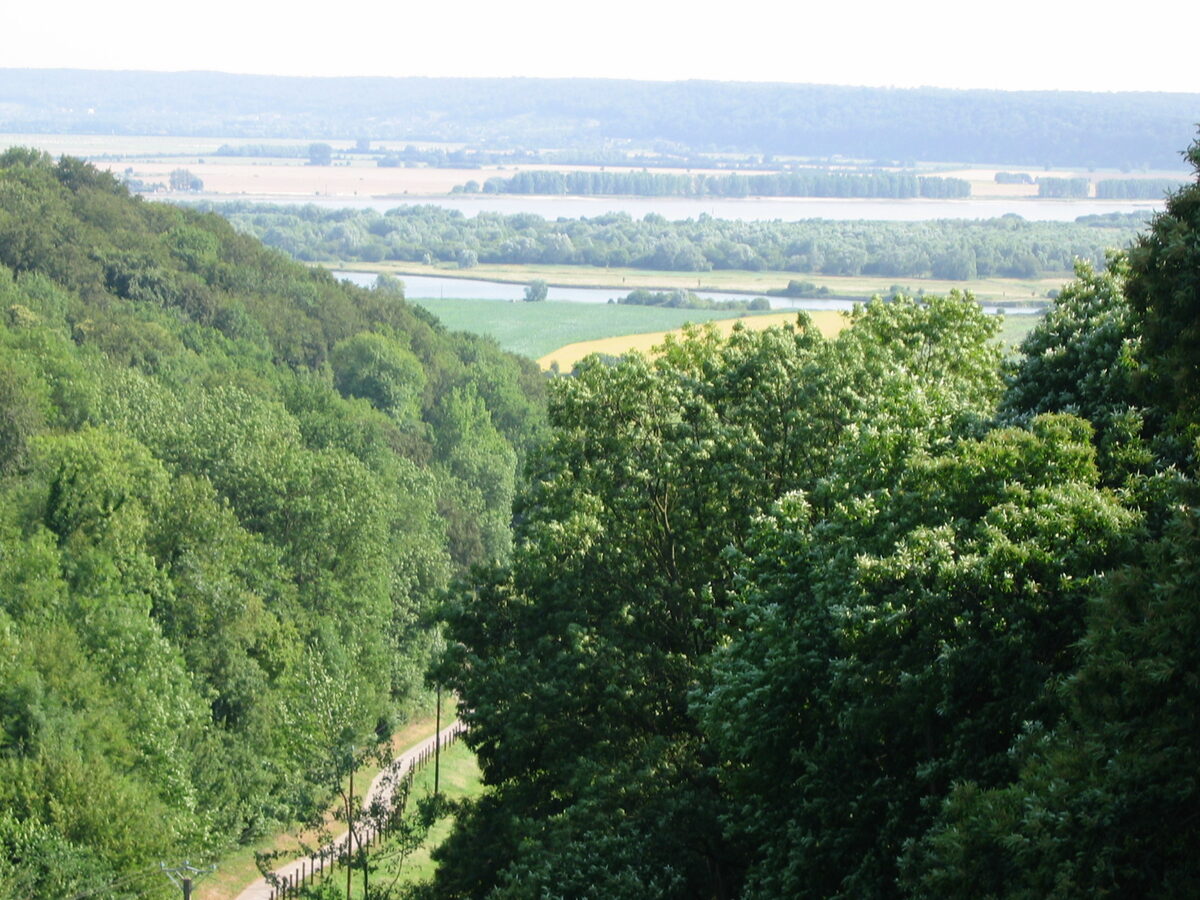 Vue de la vallée de la Seine, méandre du fleuve bordé de coteaux boisés et de prairies