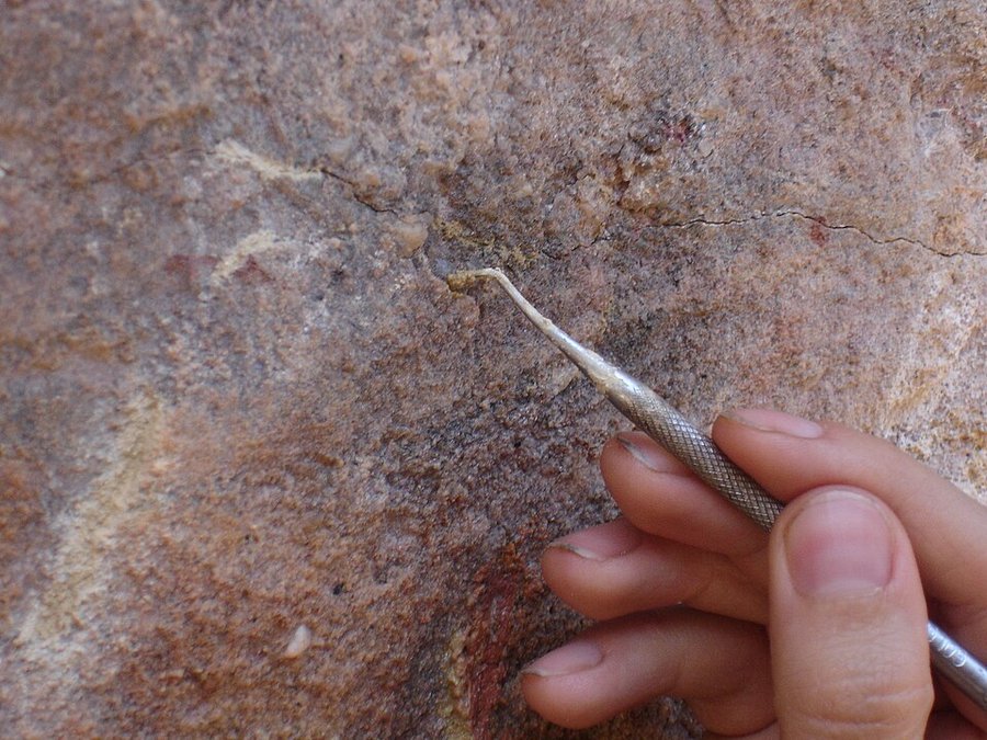 Conservation preventive des peintures rupestres de Serra da Capivara