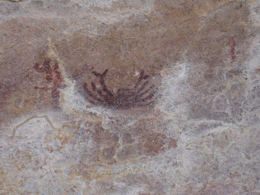 Peinture rupestre d'un crabe, Serra da Capivara