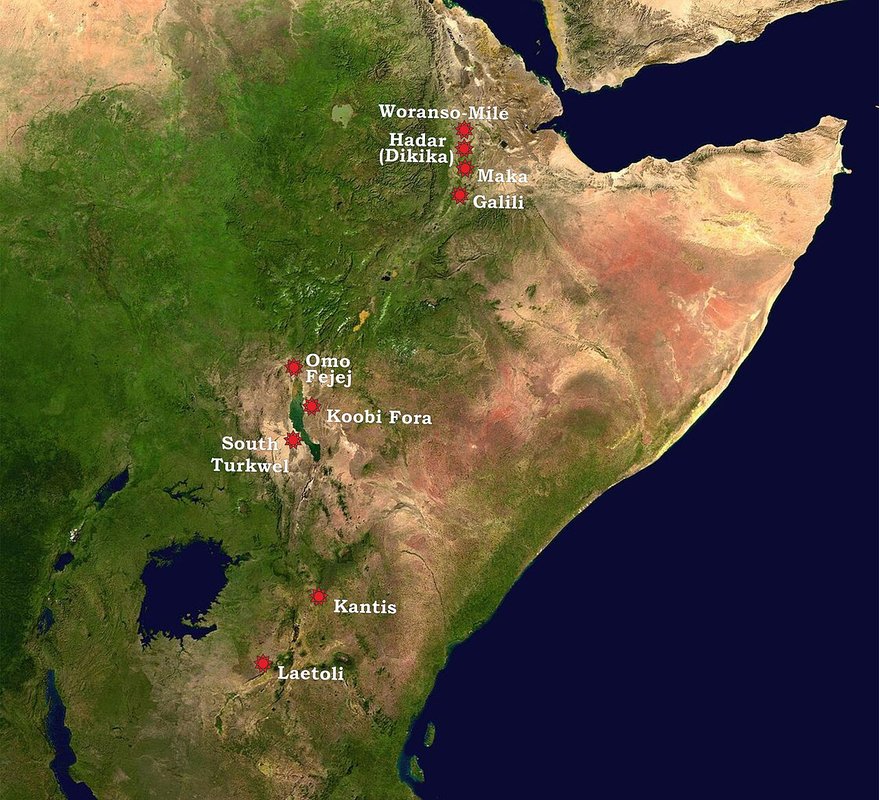 Reconstitution de l'habitat d'Australopithecus afarensis en Afrique de l'Est