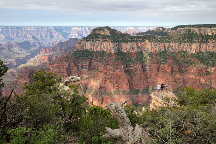 Le bord nord du Grand Canyon, Arizona