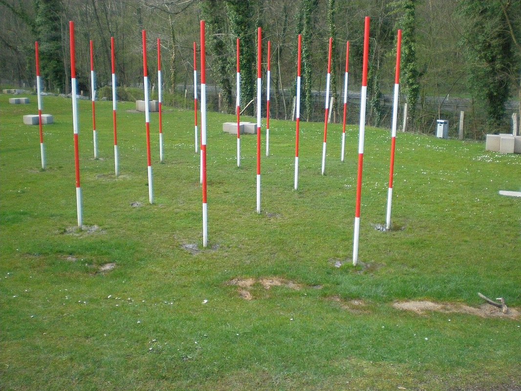 Site de fouilles neandertaliennes, Allemagne