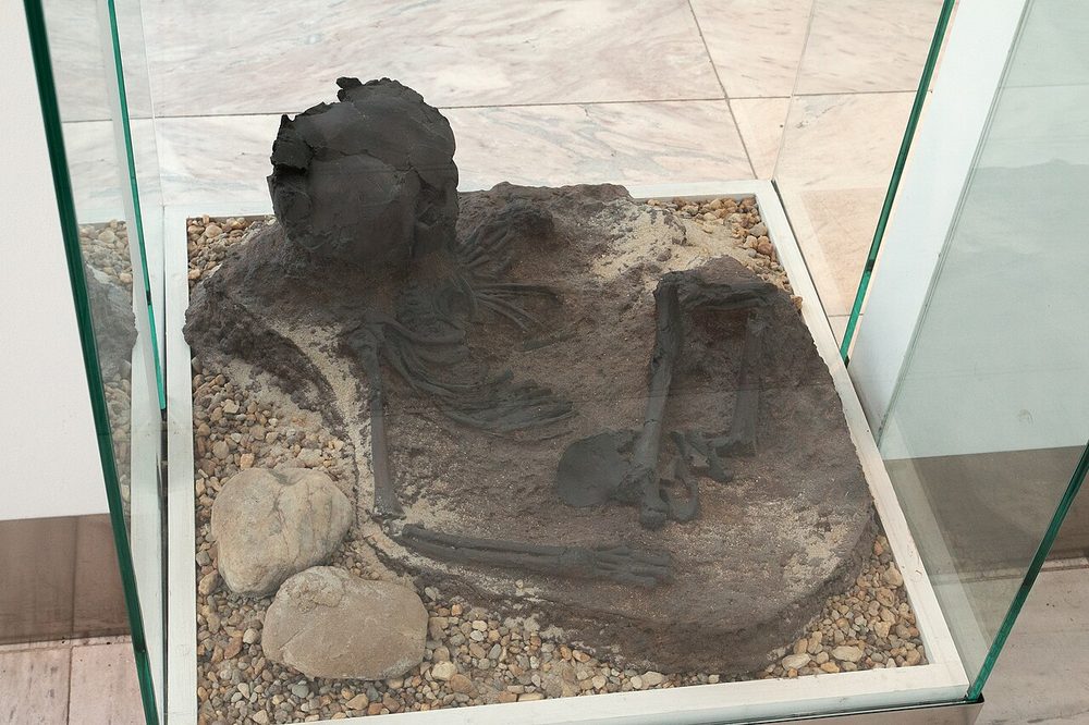 Cast of a child burial from Qafzeh